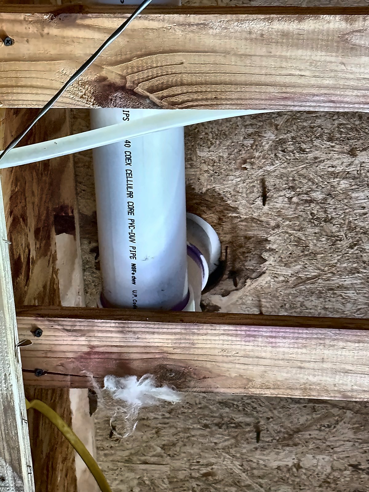 A view above the ceiling on a 4D Restoration job showing a drain line running through the wood framing and sheathing.
