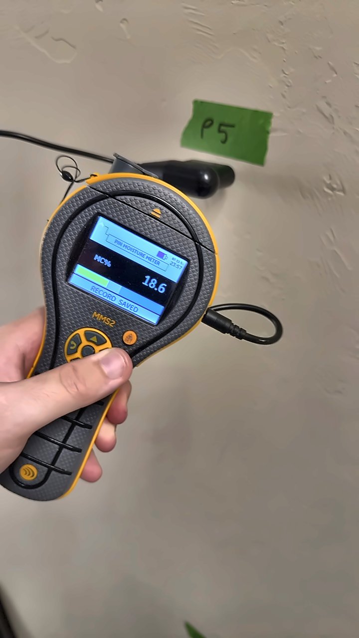 A Protimeter MMS2 in a 4D Restoration tech's hand reads 18.6 percent at a marked test point.