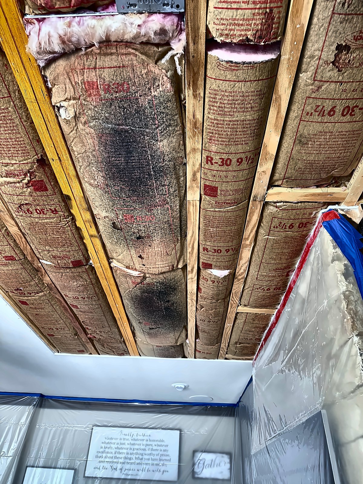 Heavy dark mold staining on ceiling insulation, exposed and documented on a 4D Restoration job.