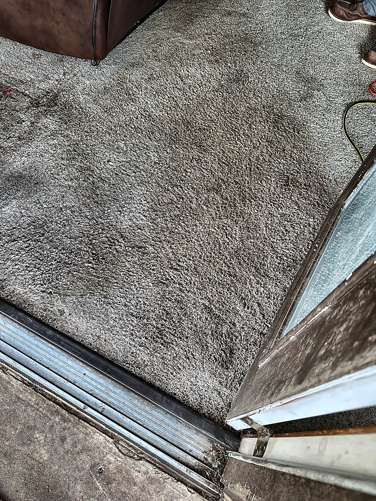 A dark saturation ring on carpet at a sliding-door threshold, documented on a 4D Restoration water call.