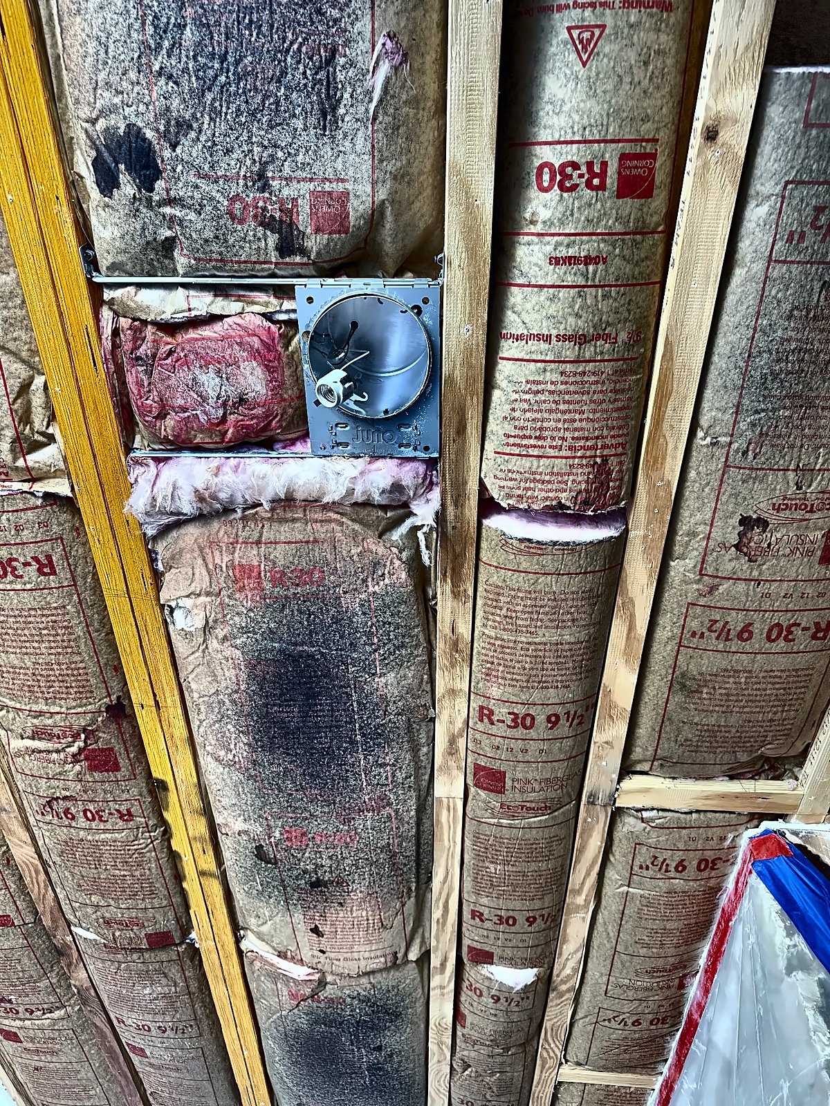 Dark mold-like staining across paper-faced wall insulation, documented during a 4D Restoration inspection.