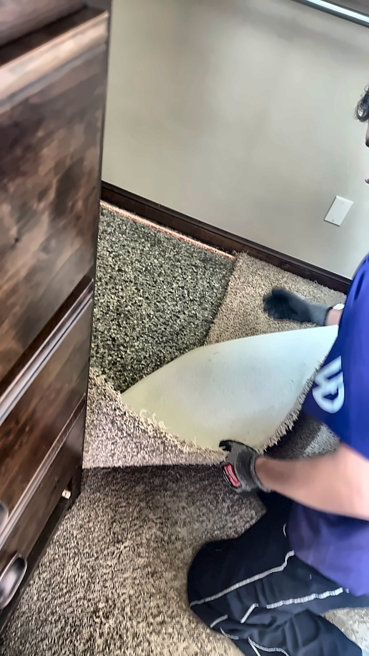 A 4D Restoration tech kneels and pulls back carpet to check the pad and subfloor underneath.