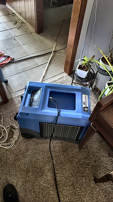 A 4D Restoration industrial dehumidifier, the company logo visible on its side, runs a carpet dry-out.