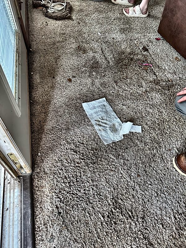 A soaked shag carpet by a sliding door with the homeowner's wet paper-towel test lying on it, documented by 4D Restoration on arrival.