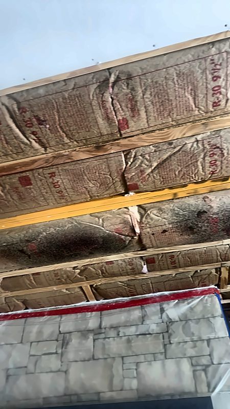 Dark staining across R-30 ceiling insulation documented during a 4D Restoration inspection.