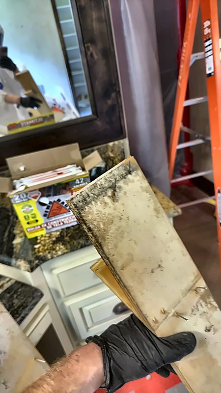 A gloved 4D Restoration tech holds removed wood showing dark mold staining on one end.